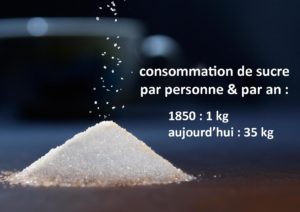 sucre consommation