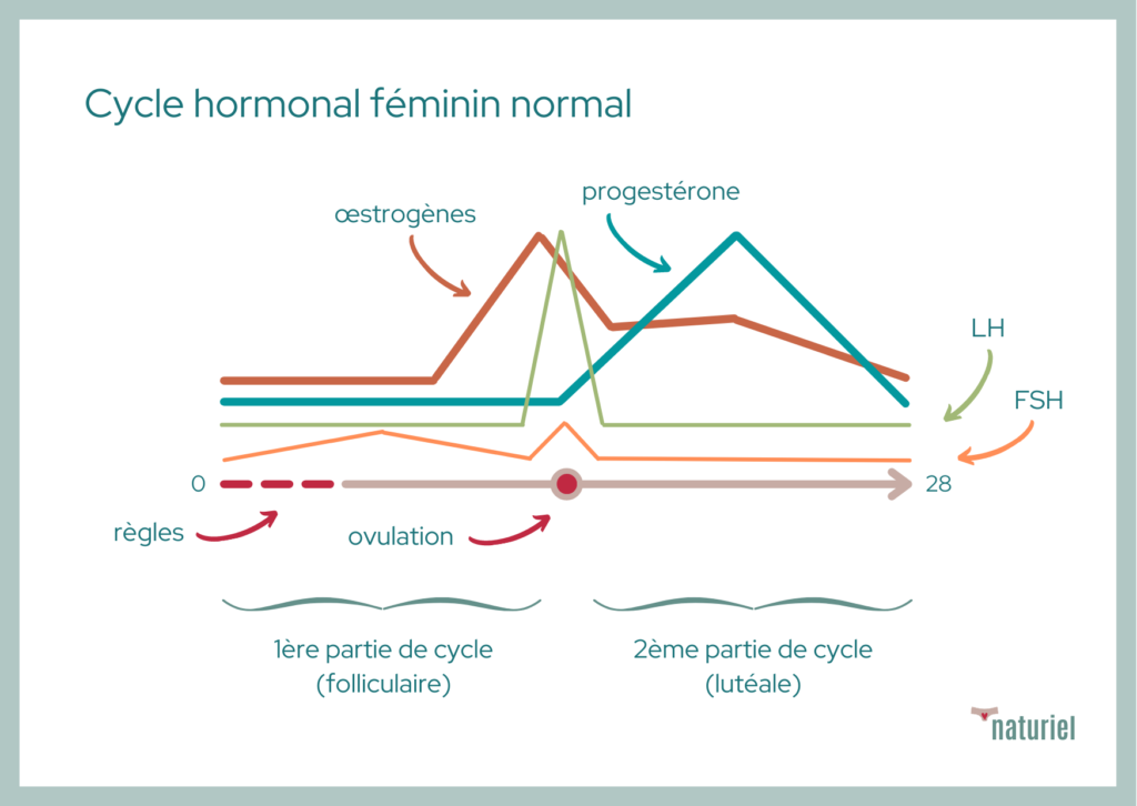 Syndrome prémenstruel / SPM & naturopathie / Naturiel