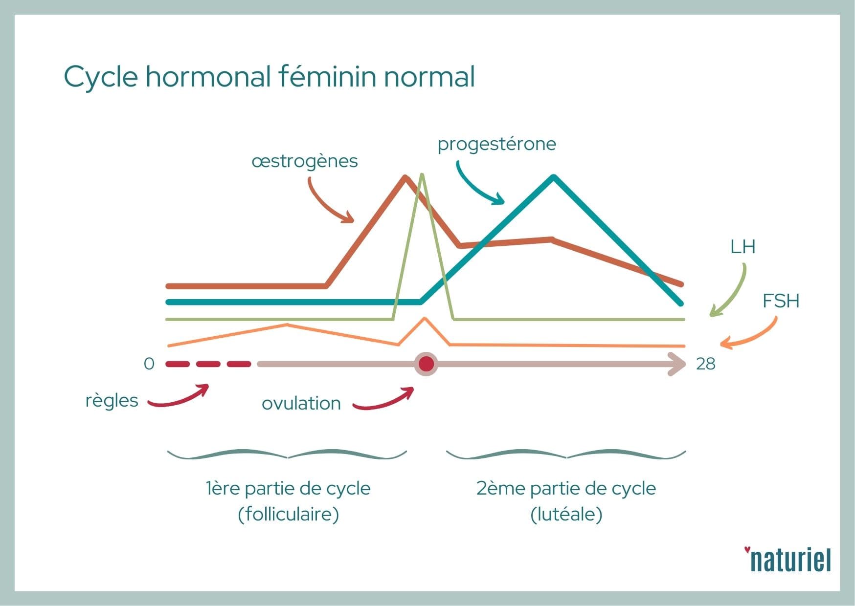 Cycle menstruel : le comprendre pour mieux le vivre - Naturiel